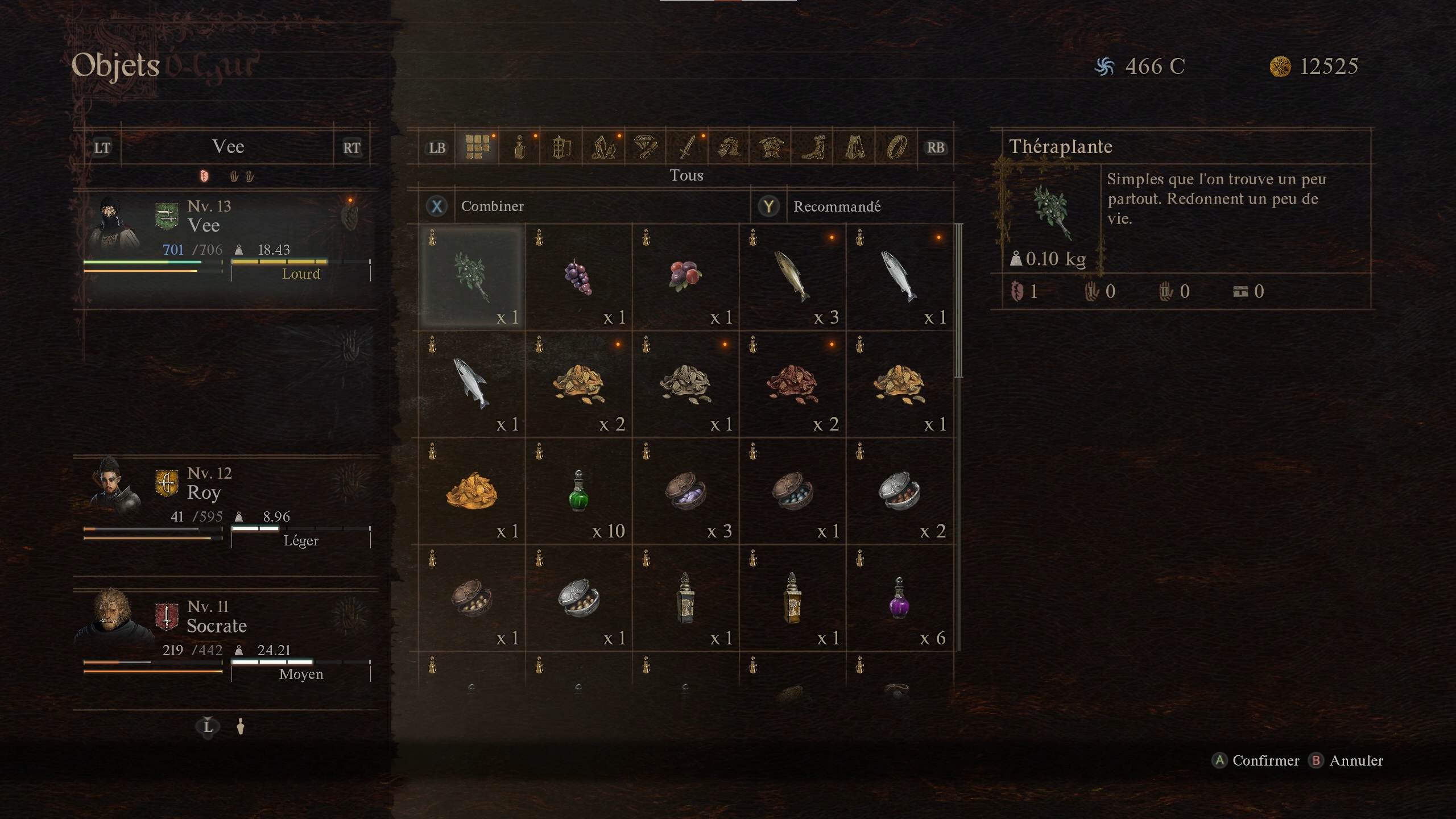 Dragon's Dogma 2 Interface