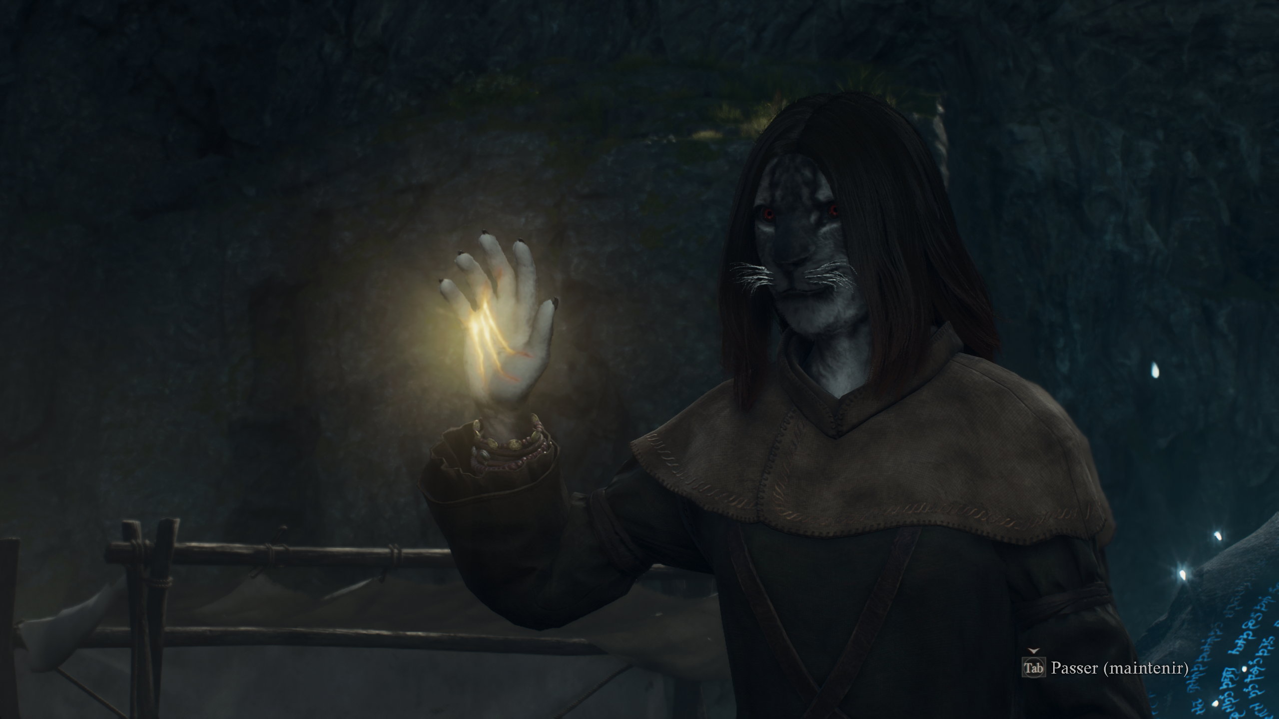 Dragon's Dogma 2 SÃ©lina