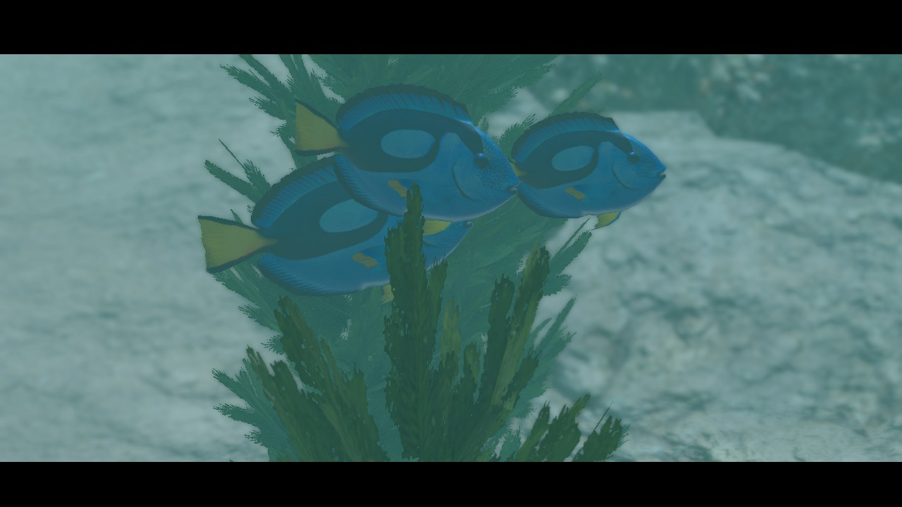 Endless Ocean Luminous (Arika / Nintendo). Endless Ocean Luminous (Arika / Nintendo).