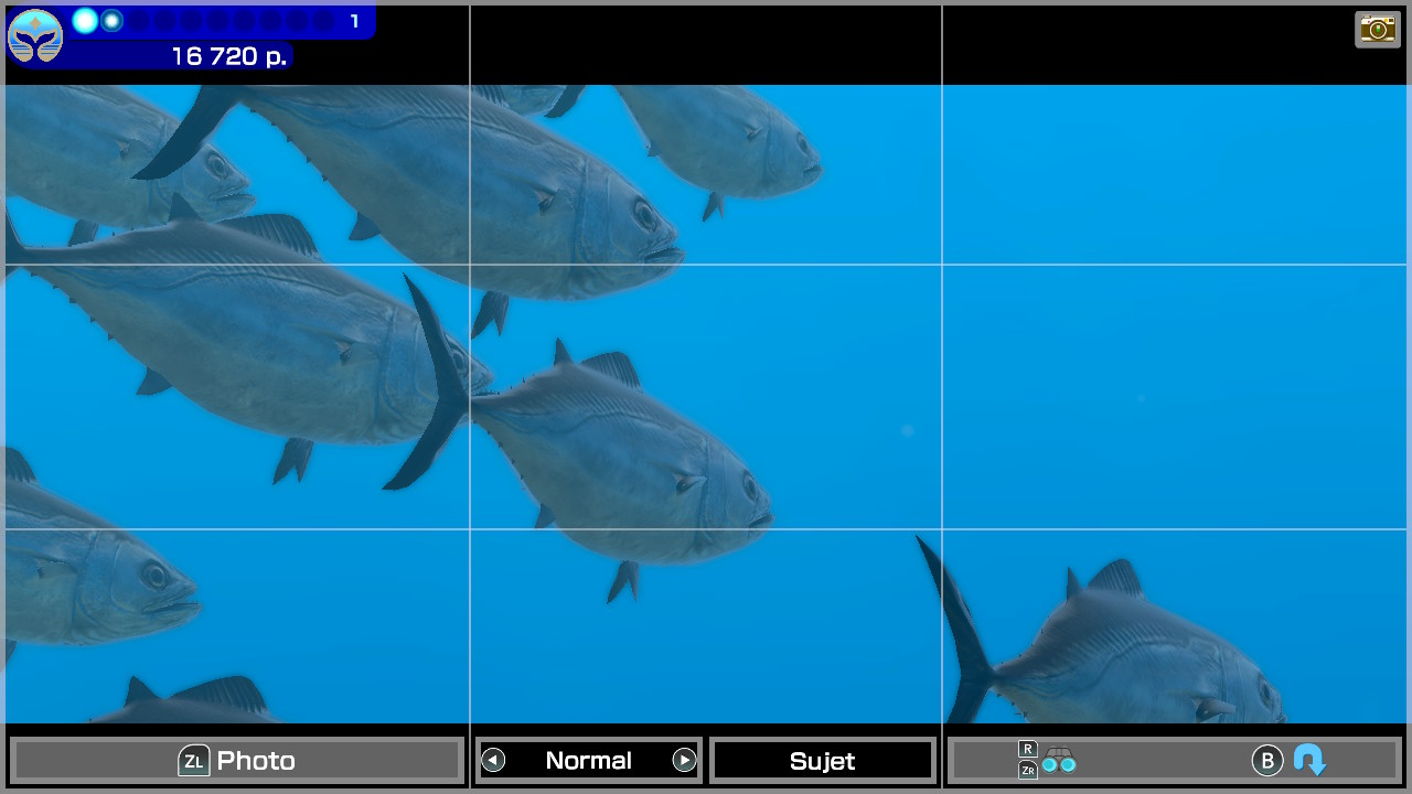 Endless Ocean Luminous (Arika / Nintendo). Endless Ocean Luminous (Arika / Nintendo).