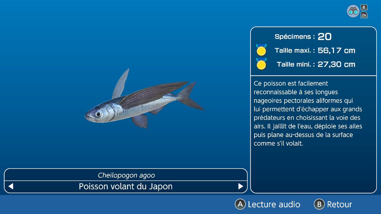 Endless Ocean Luminous (Arika / Nintendo).