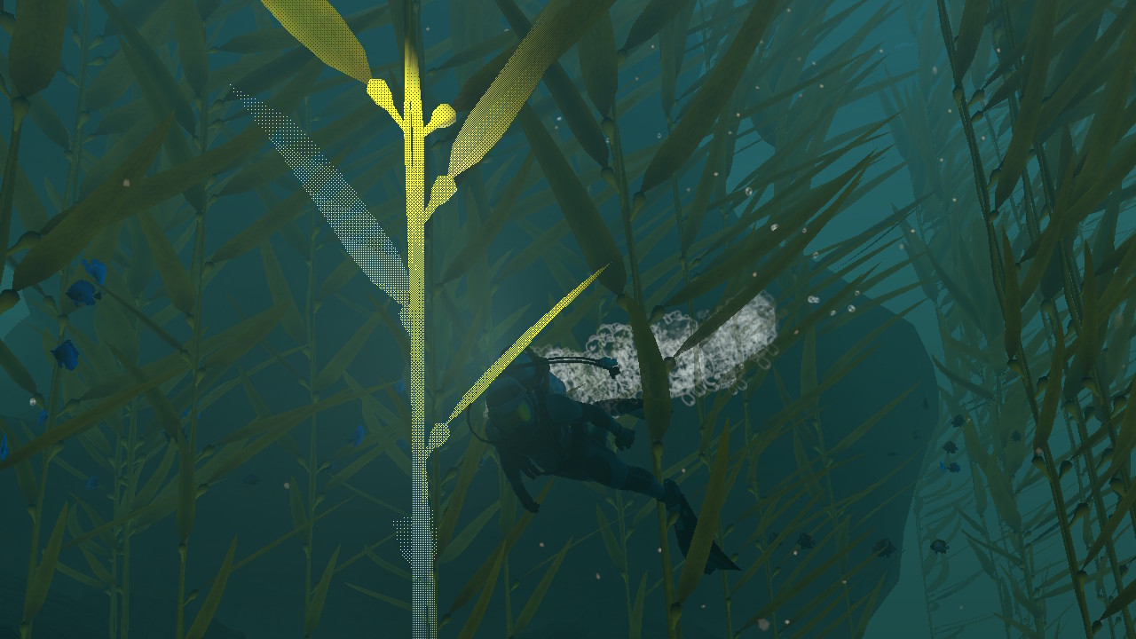 Endless Ocean Luminous (Arika / Nintendo).