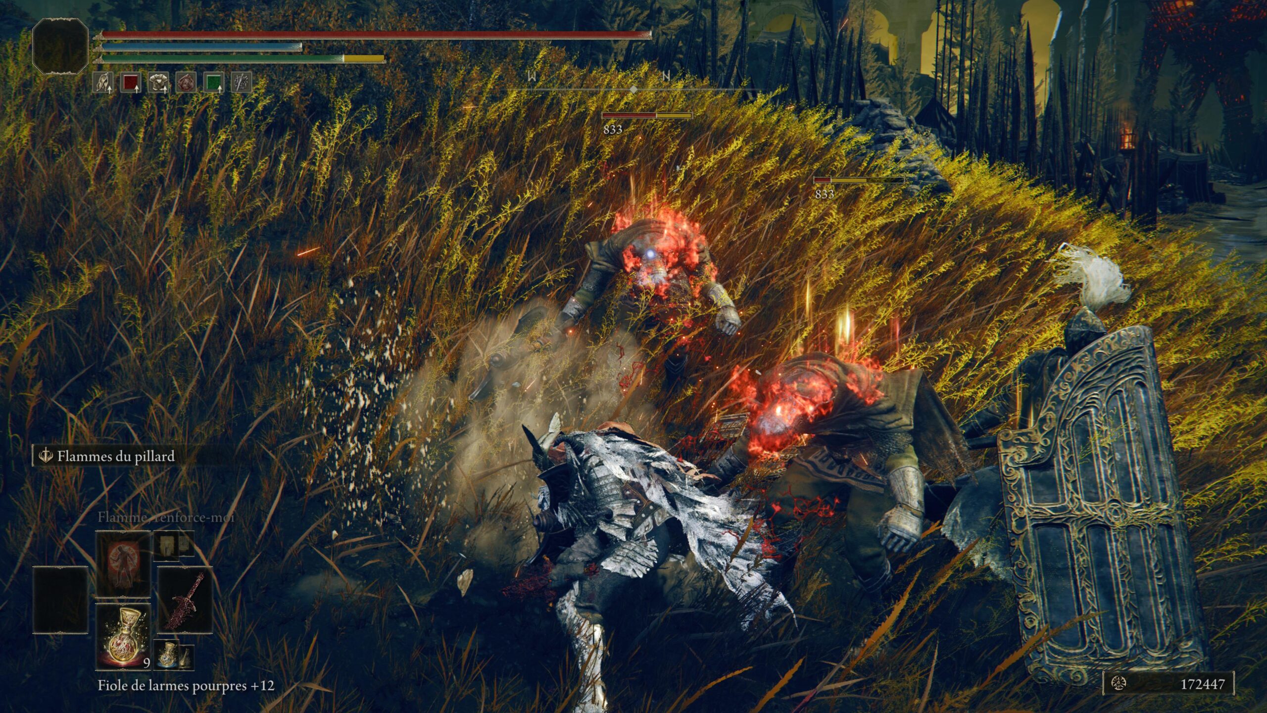 Elden Ring DLC Test PS5