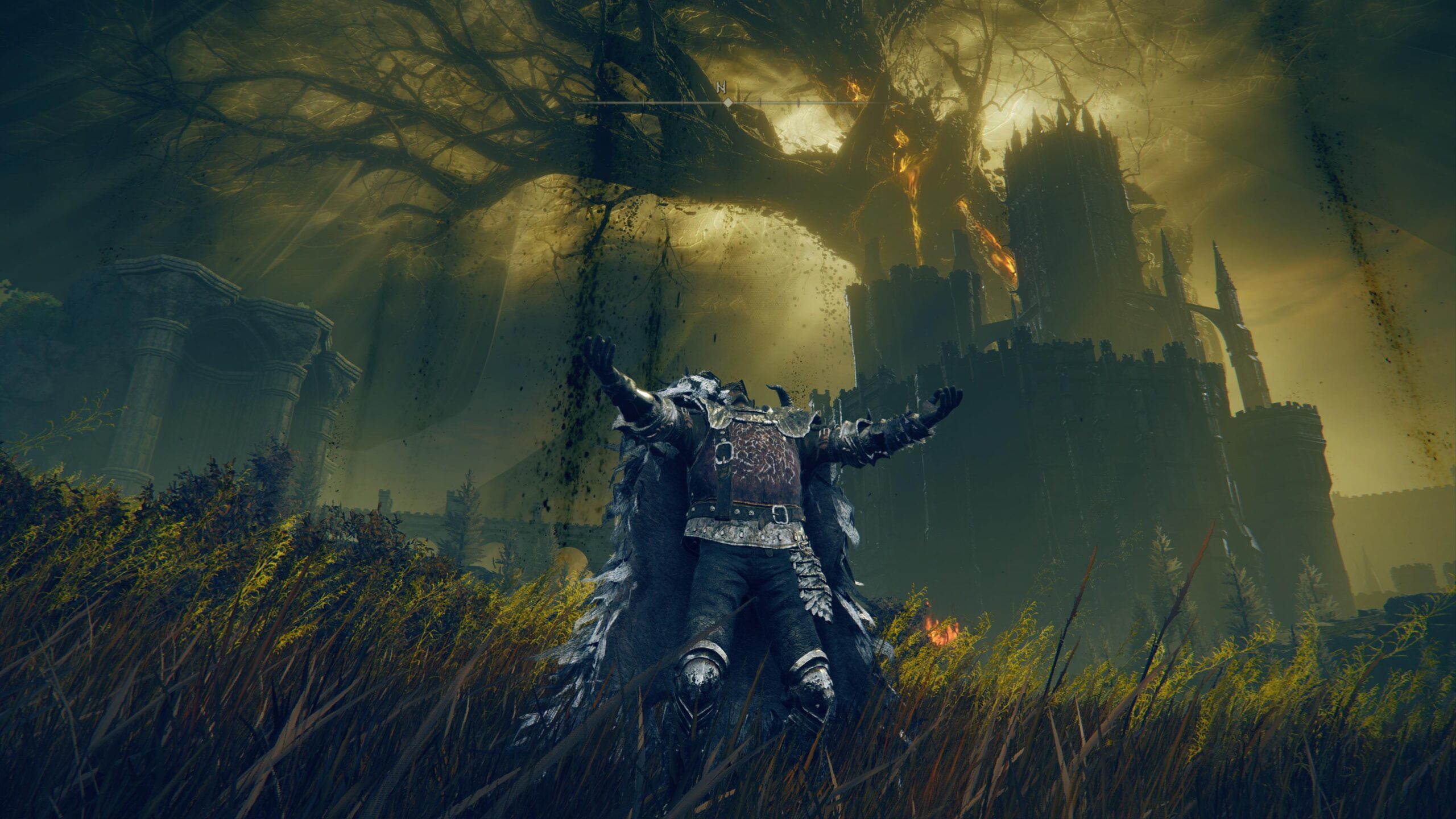 Elden Ring DLC Test PS5