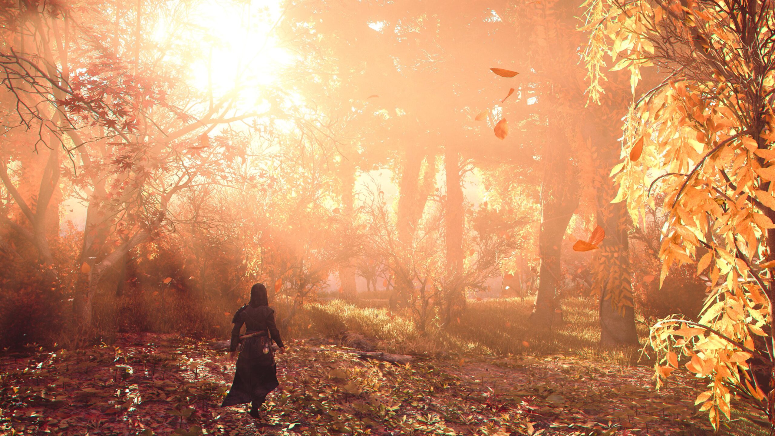 Assassin's Creed Shadows test PS5 Gameblog Assassin's Creed Shadows test PS5 Gameblog