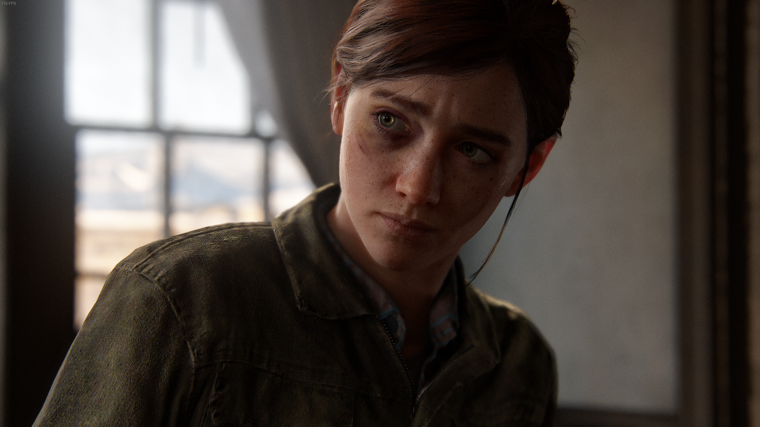 The Last of Us 2 Remastered PC Visages