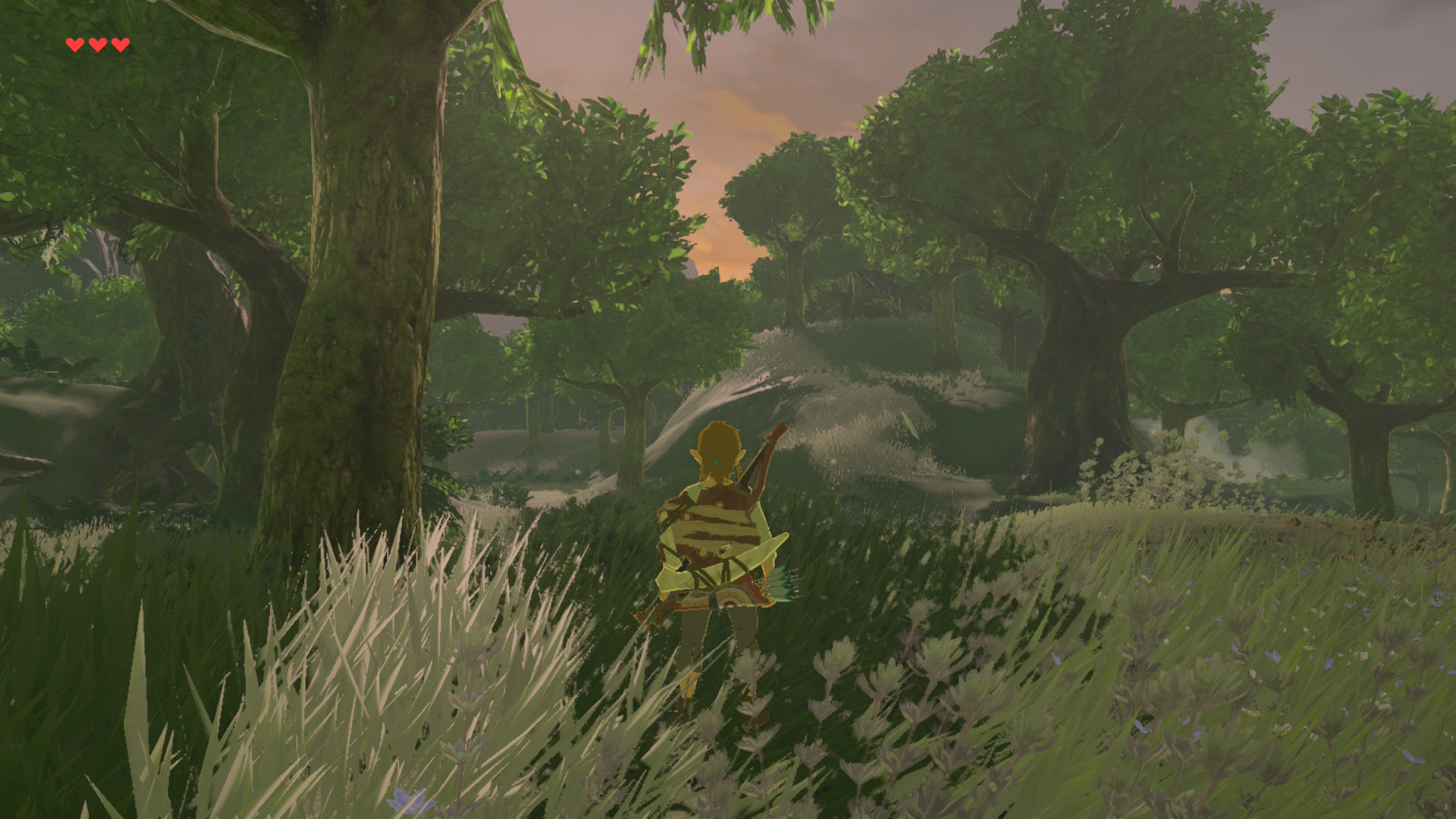 Zelda Breath of the Wild Zelda Breath of the Wild