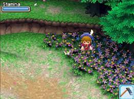 Harvest Moon Grand Bazaar. Harvest Moon Grand Bazaar.