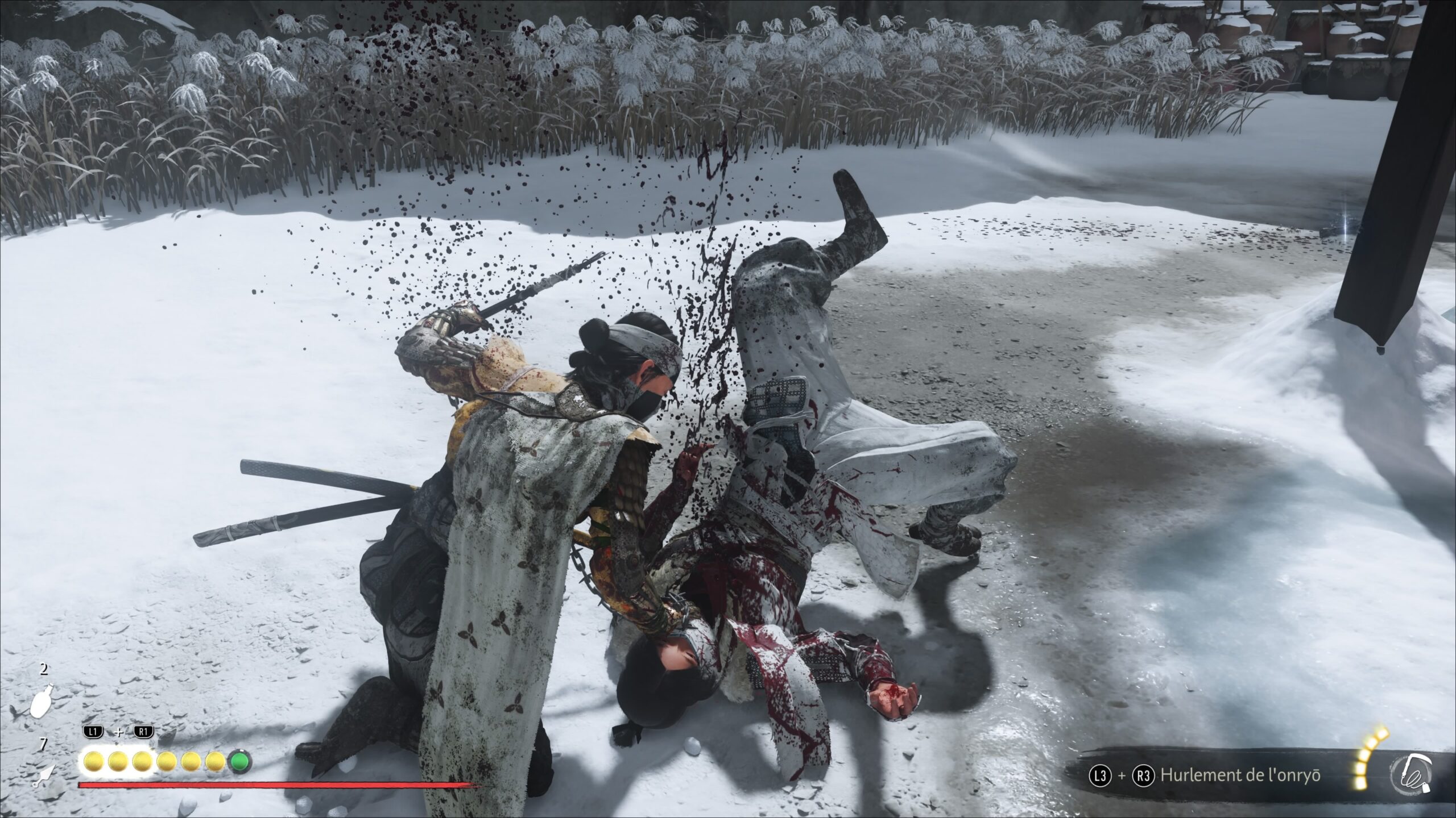 Ghost of YÅtei Assassinat