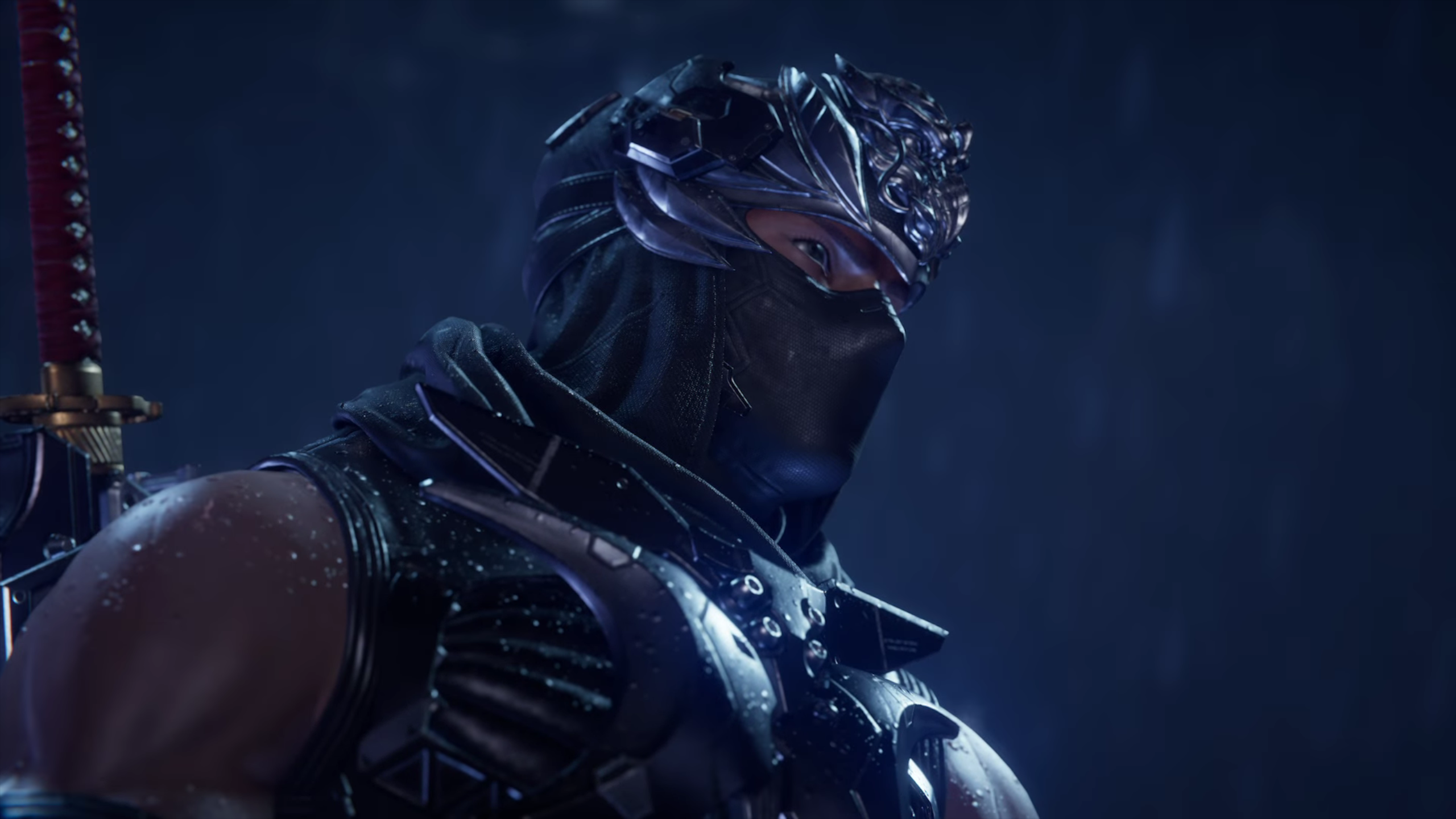 Ninja Gaiden 4 Ryu Hayabusa