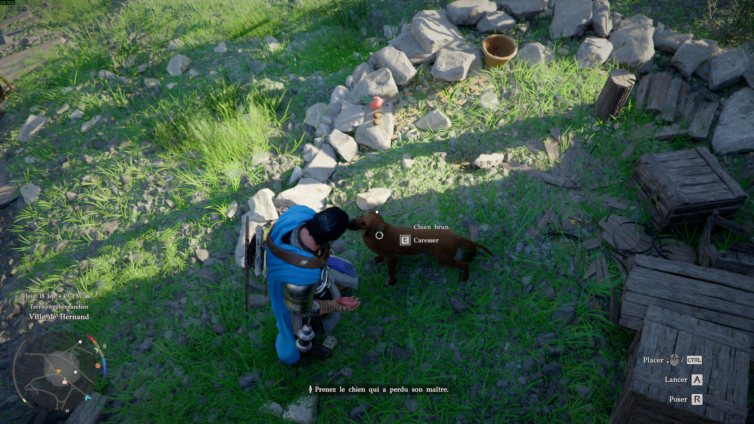 Crimson Desert Chien Crimson Desert Chien