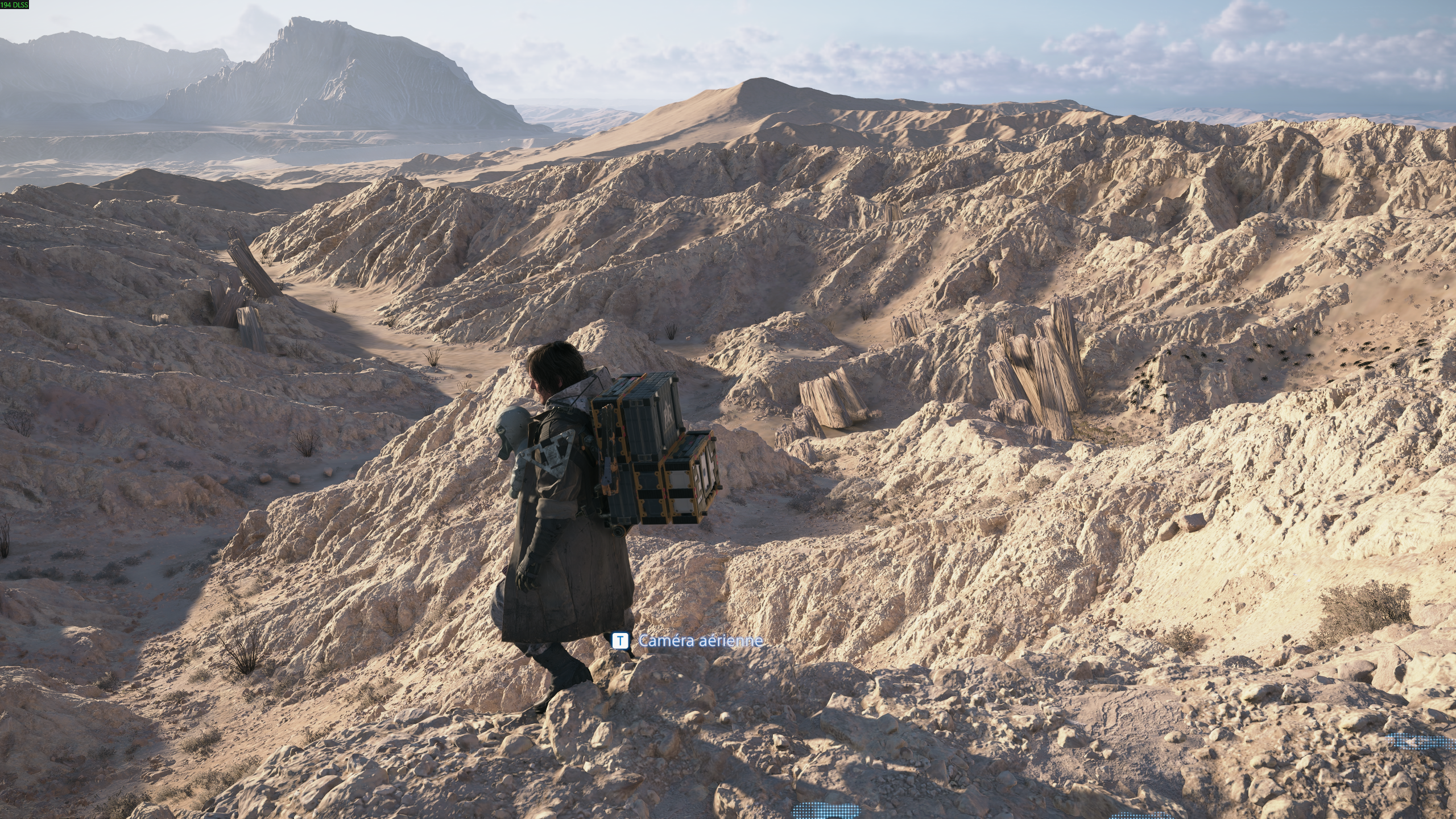 Death Stranding 2 PC Glitches