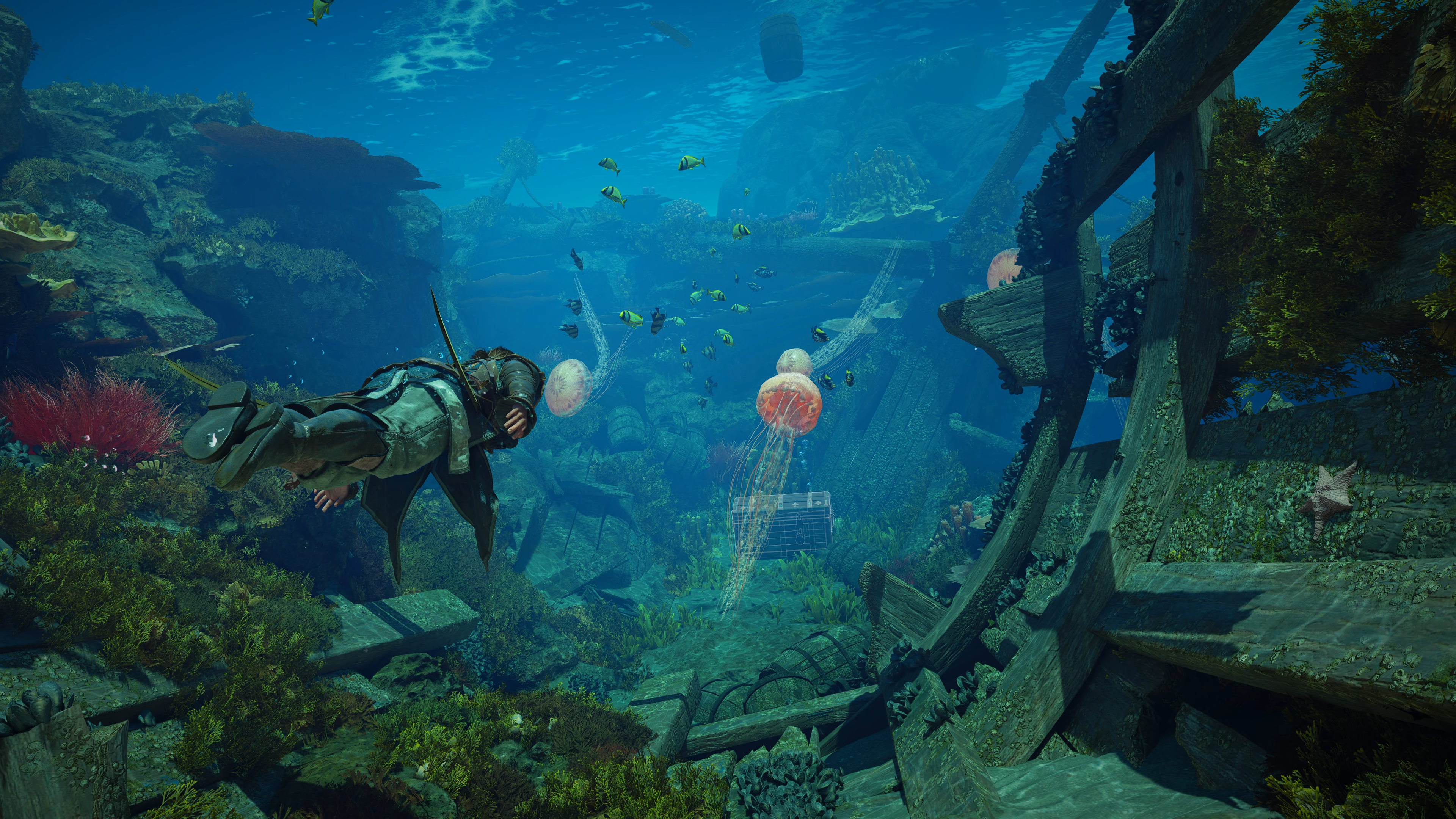 Test Assassin's Creed Black Flag Resynced Â©JÃ©rÃ©my.H 