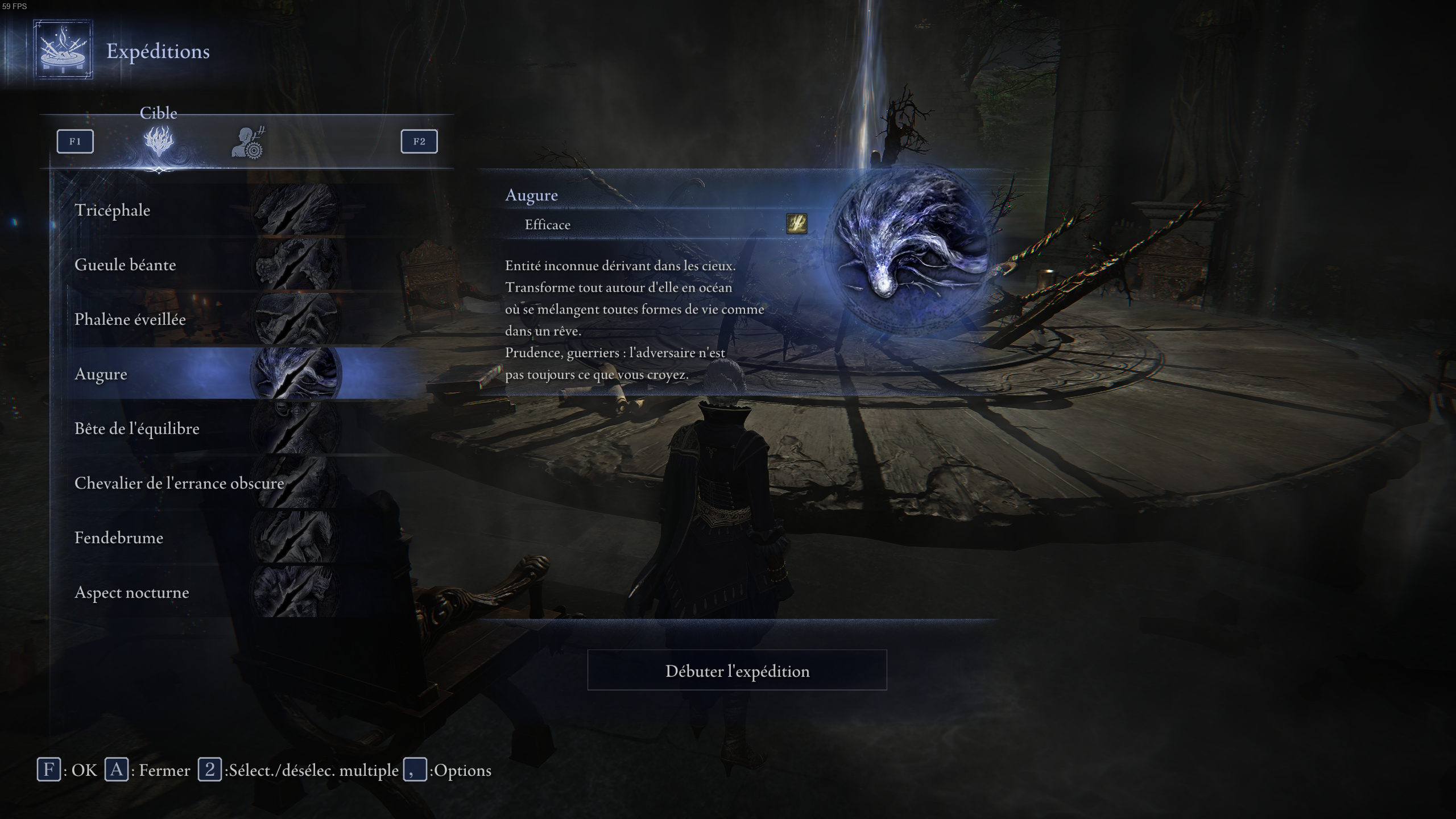 Elden Ring Nightreign Maris Description Expe