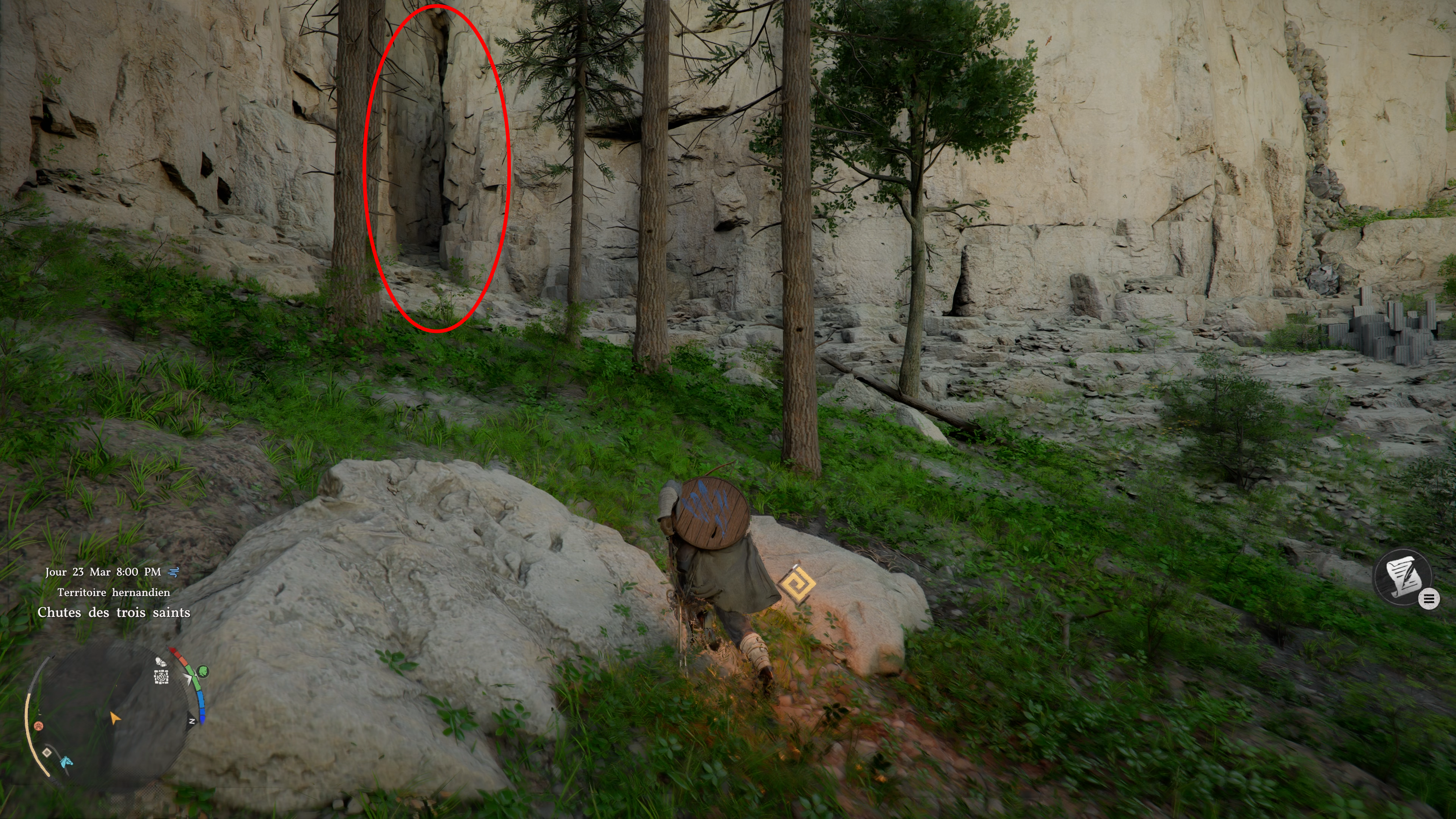 Crimson Desert recette comprimes Palme 2