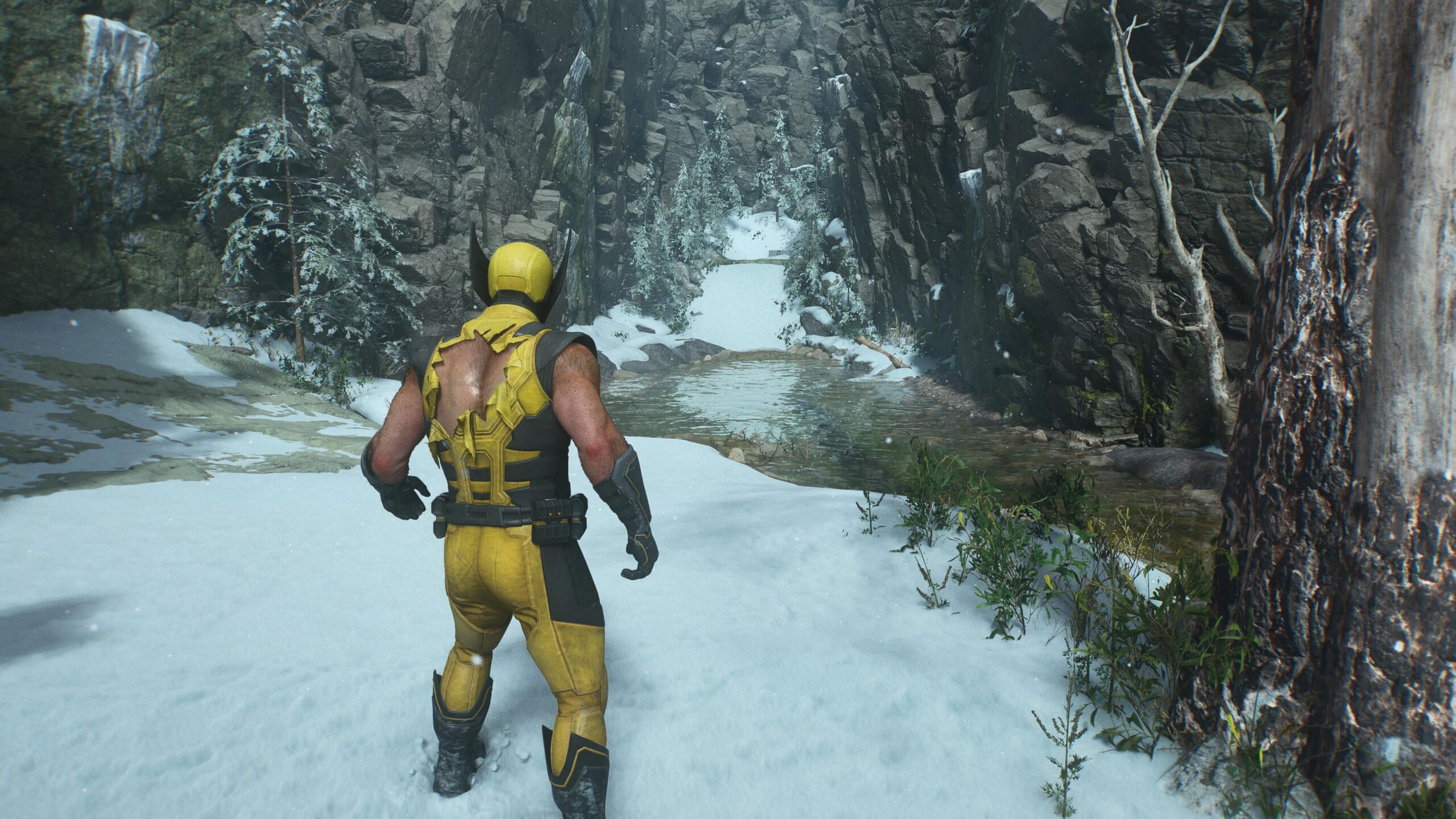 Wolverine Wolverine