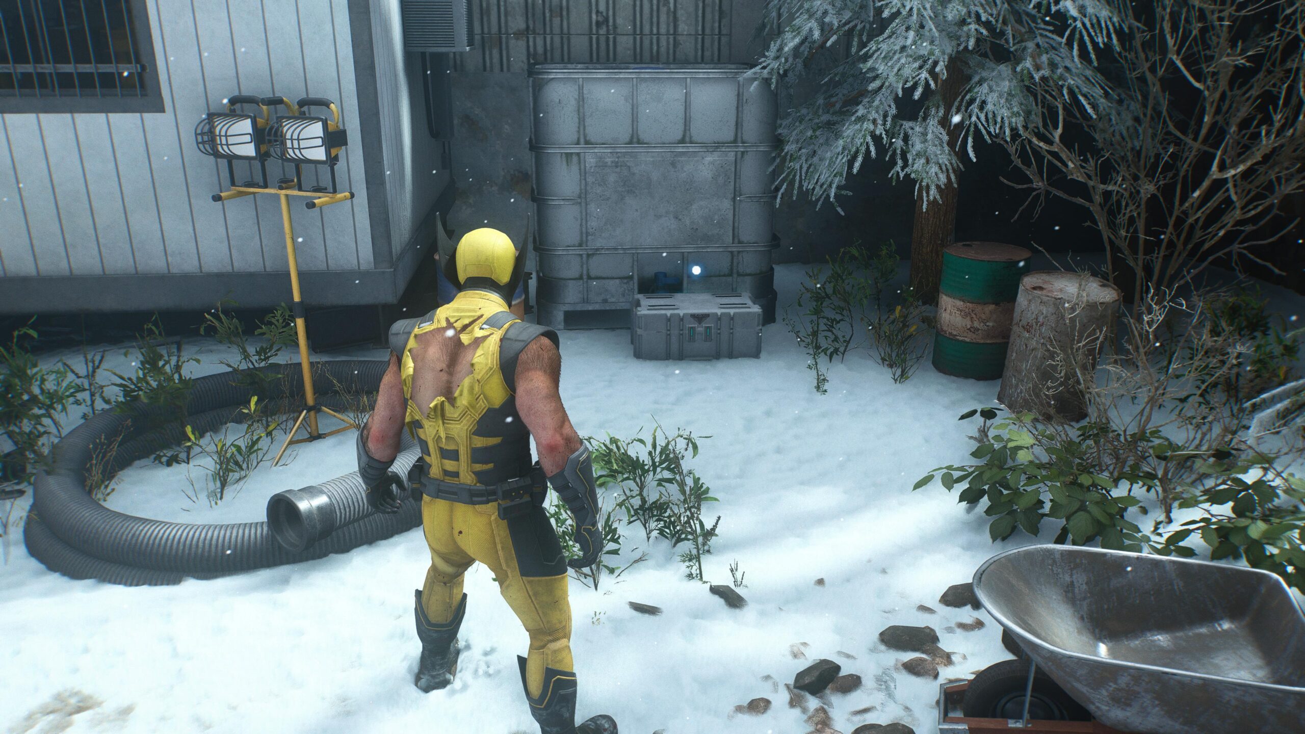 Wolverine Wolverine