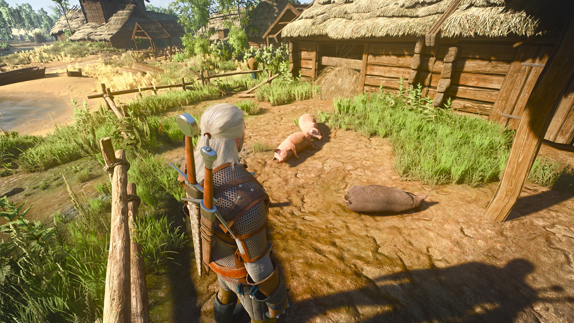 The Witcher 3 Porcs The Witcher 3 Porcs