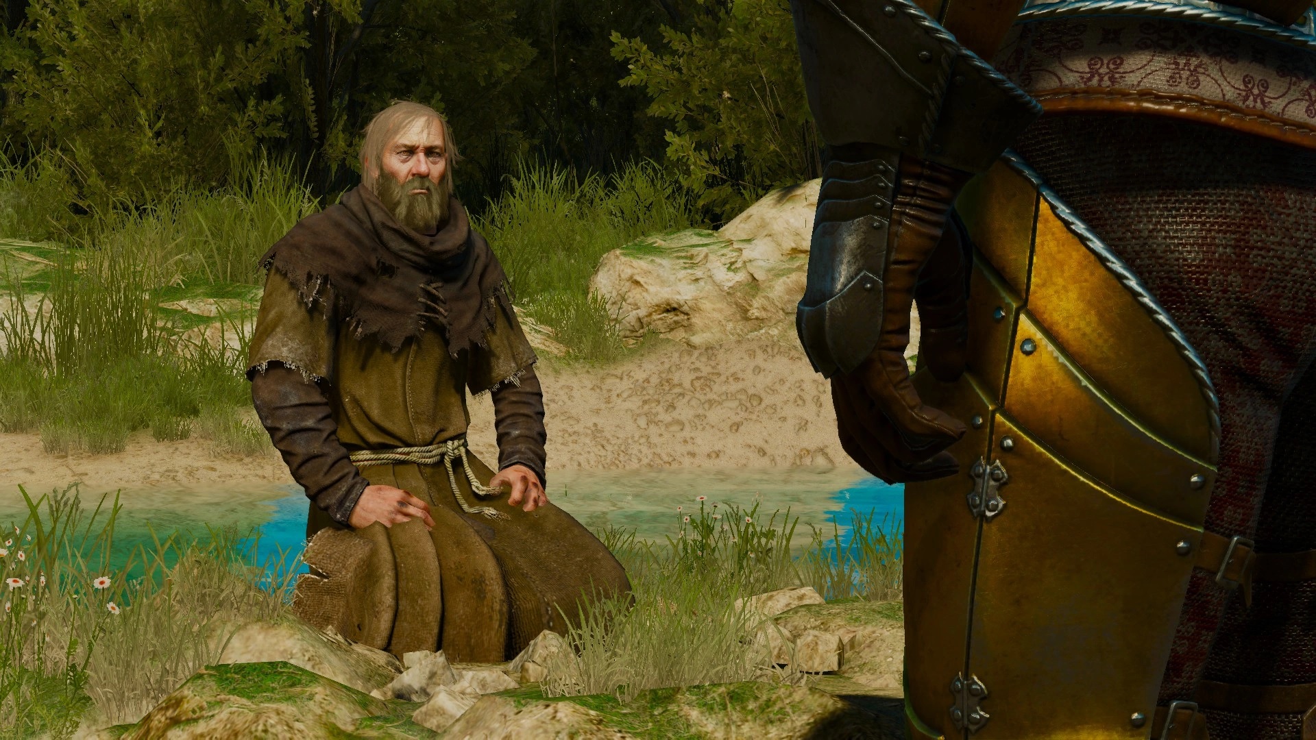 The Witcher 3 Ermite Aerondight The Witcher 3 Ermite Aerondight