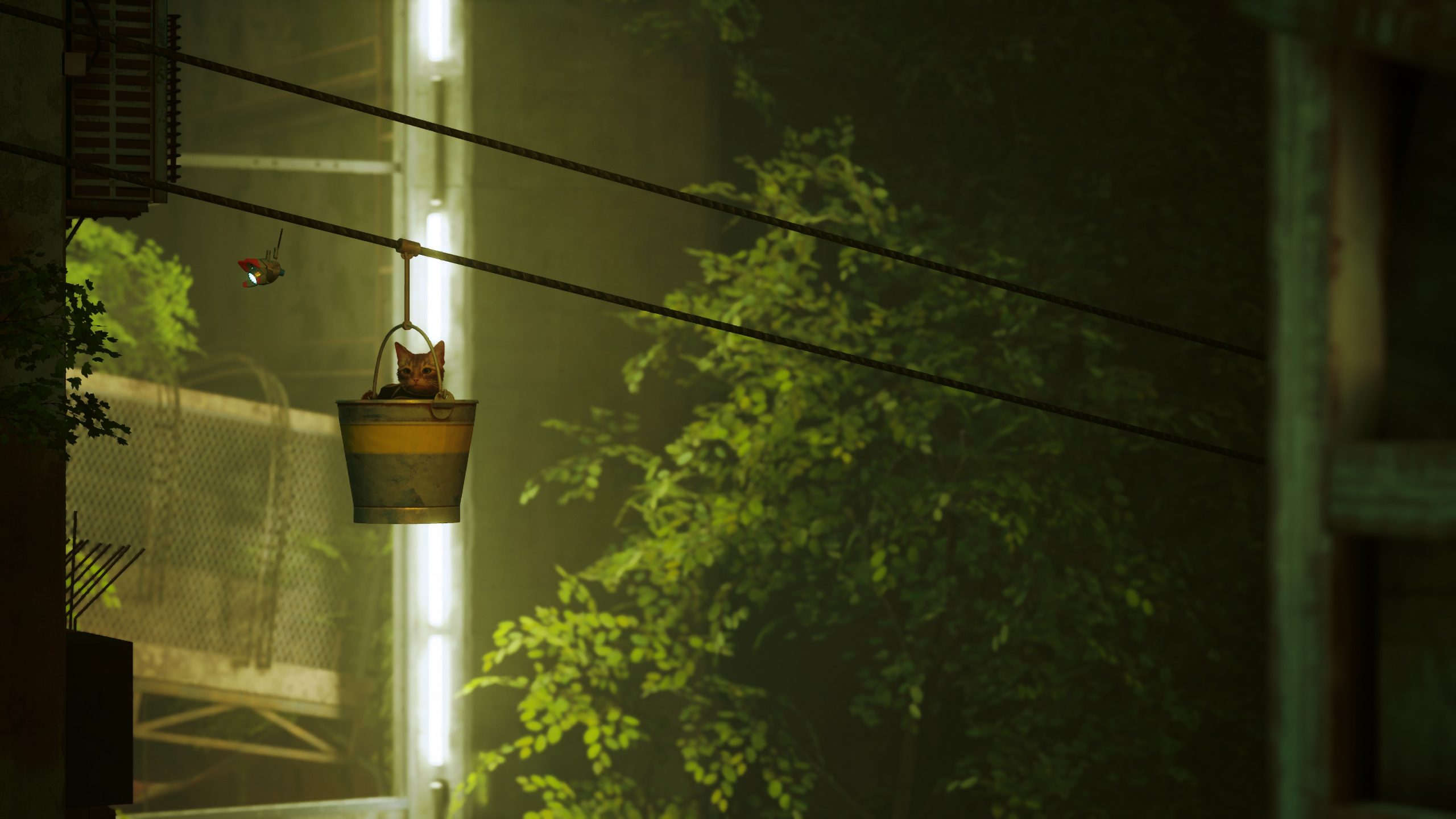 Screenshot de Stray.