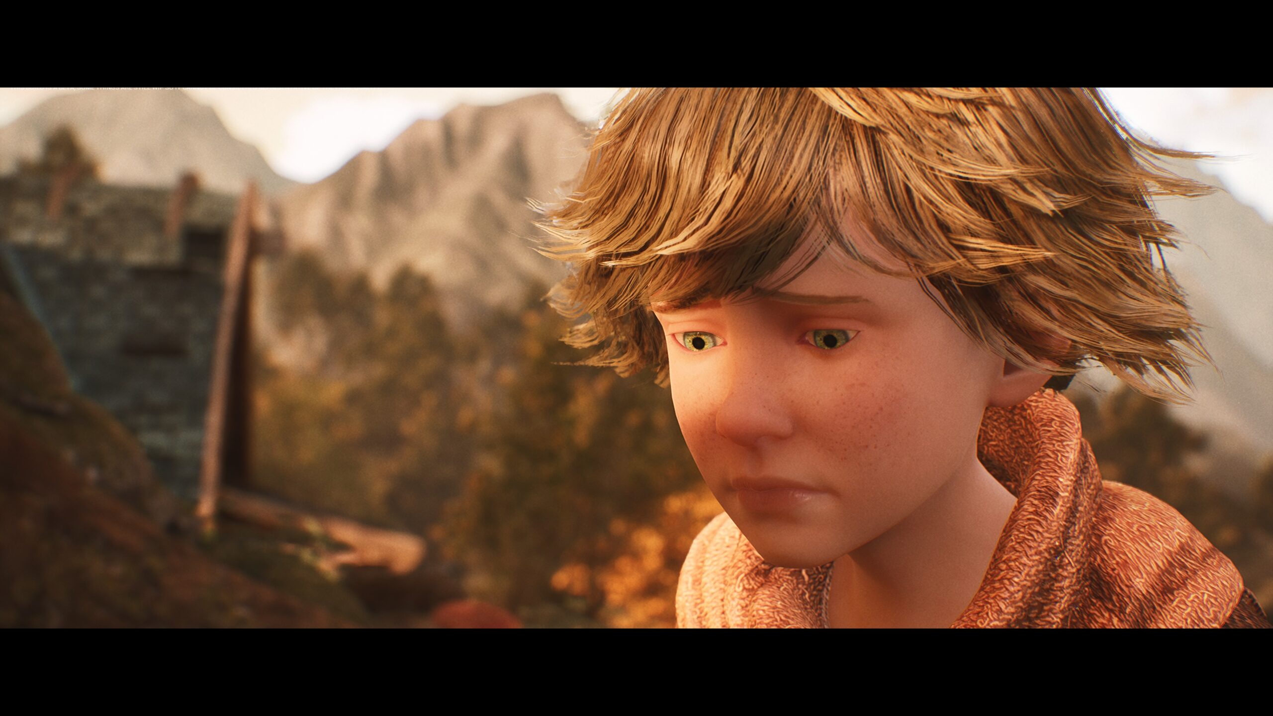 Brothers A Tale of Two Sons preview