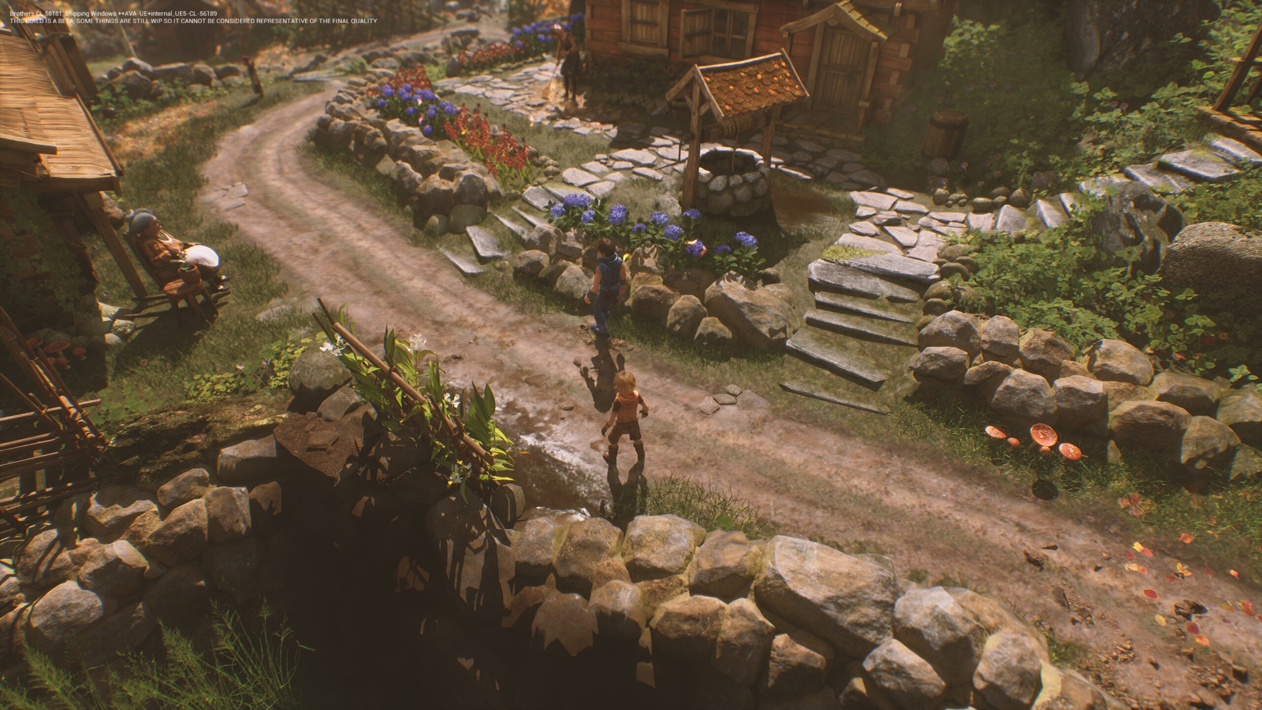 Brothers A Tale of Two Sons preview