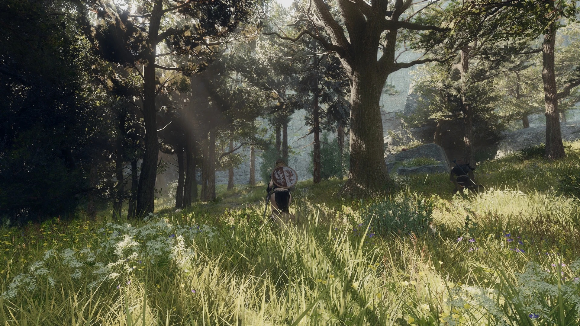 Dragon's Dogma 2 Clear ReShade Dragon's Dogma 2 Clear ReShade