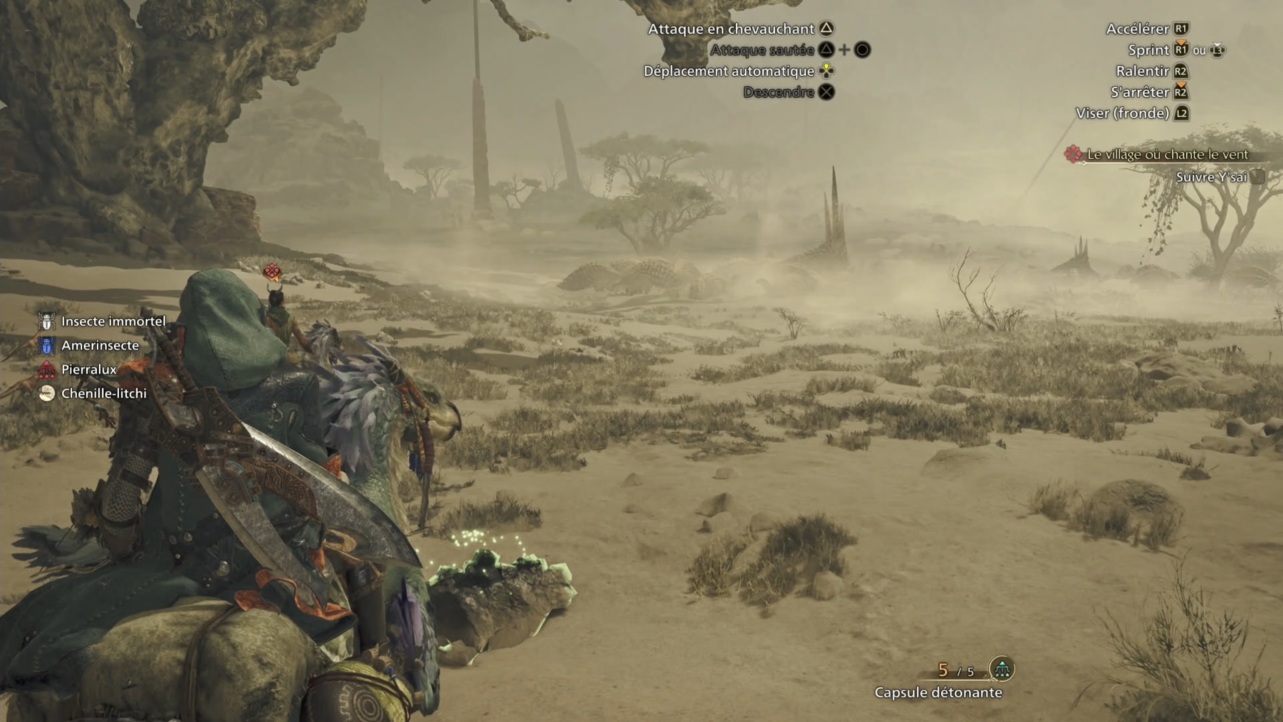 Monster Hunter Wilds Immersion