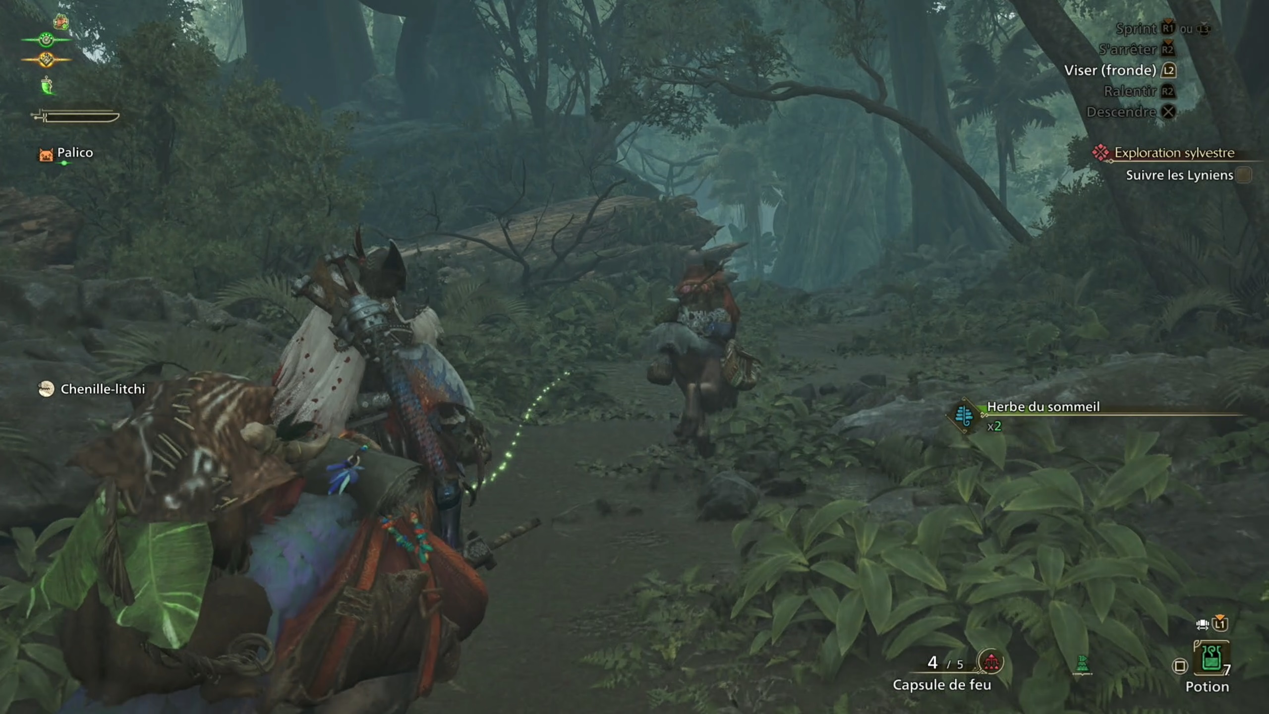 Monster Hunter Wilds Exploration