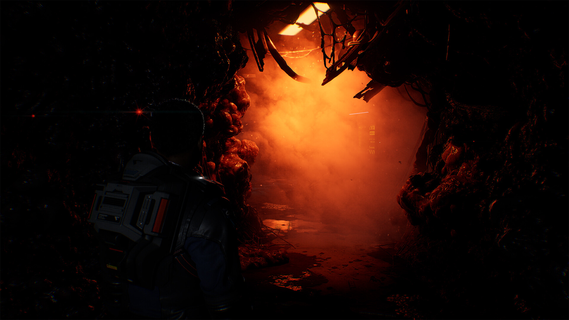 Directive 8020 preview