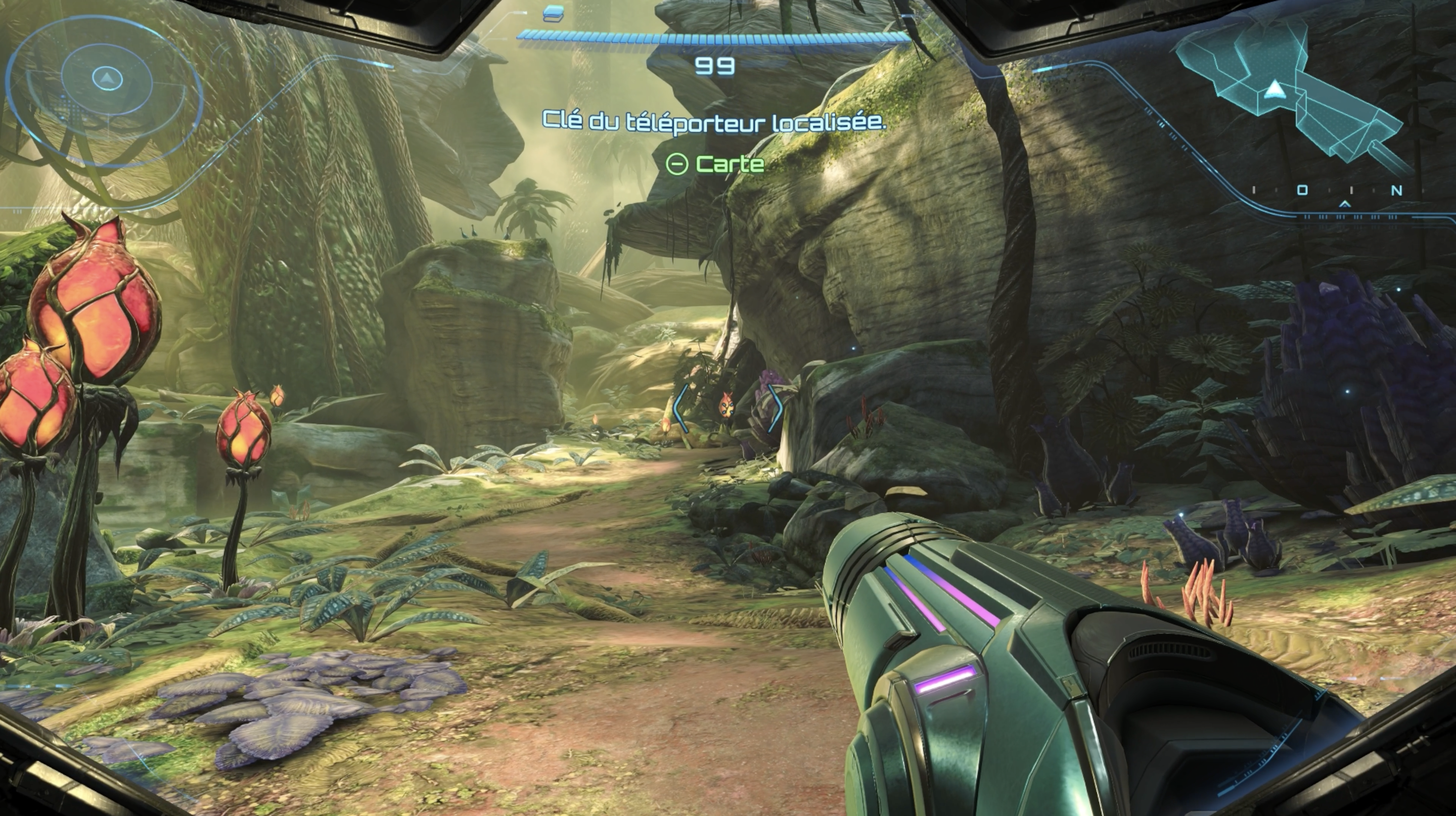 Jungle furieuse de MP4 Beyond. Jungle furieuse de MP4 Beyond.