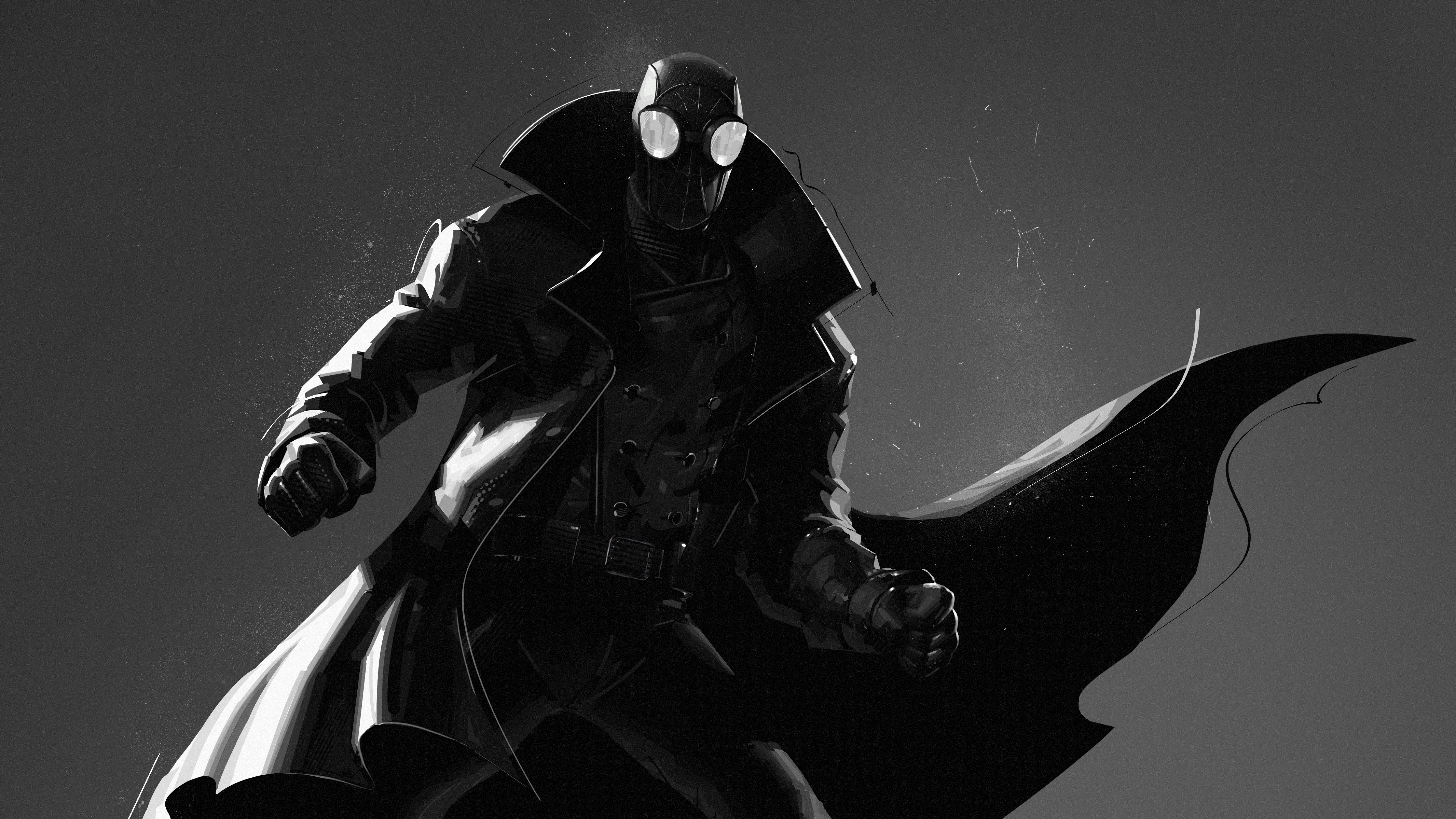 Spider Noir Spider Noir