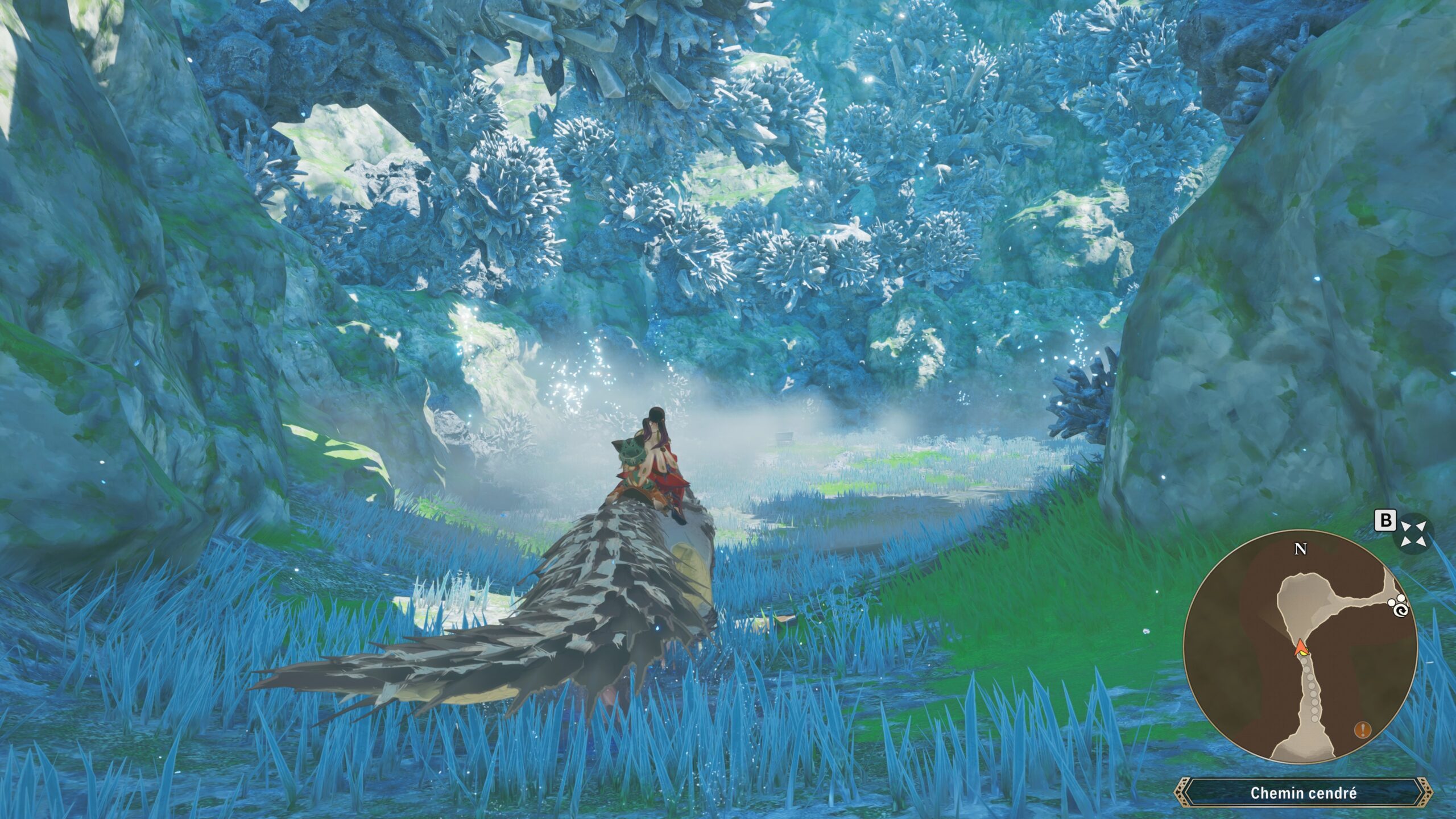 Capture de Monster Hunter Stories 3 par Â©JÃ©rÃ©my.H 