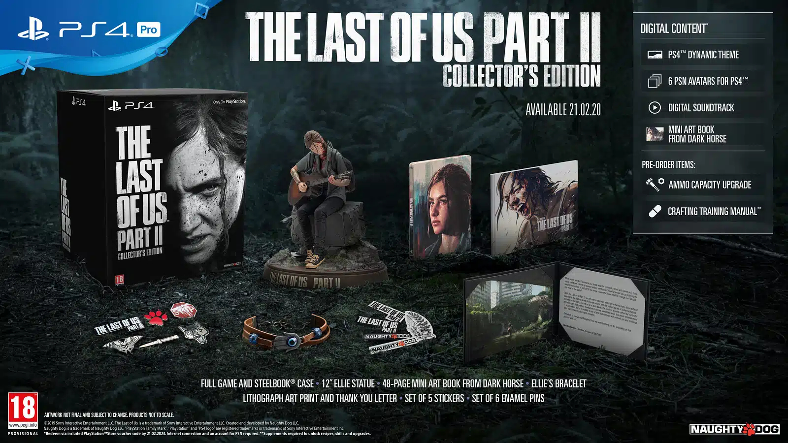 Collector PlayStation Collector PlayStation