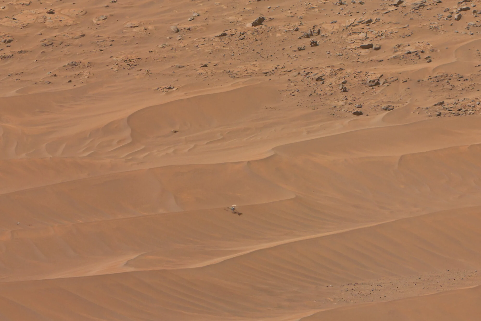 Photo lointaine de l'hélicoptère Ingenuity de la Nasa crashé sur Mars. Photo lointaine de l'hélicoptère Ingenuity de la Nasa crashé sur Mars.