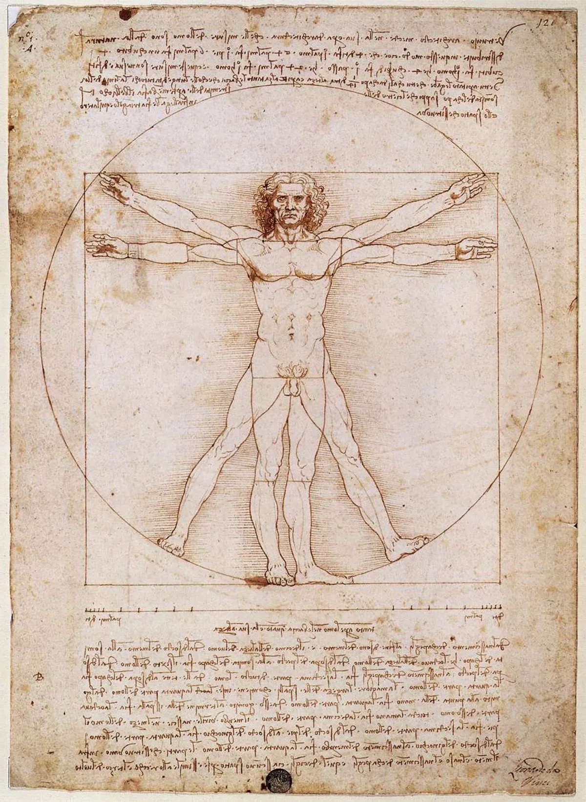 Homme de Vitrume Full Croquis LÃ©onard de Vinci