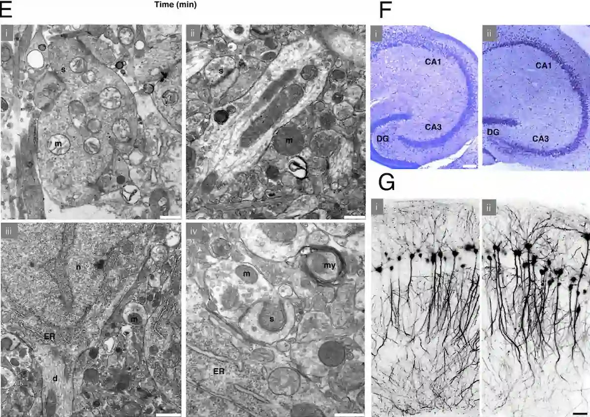 Avancées scientifiques en matière de cryogénisation Avancées scientifiques en matière de cryogénisation