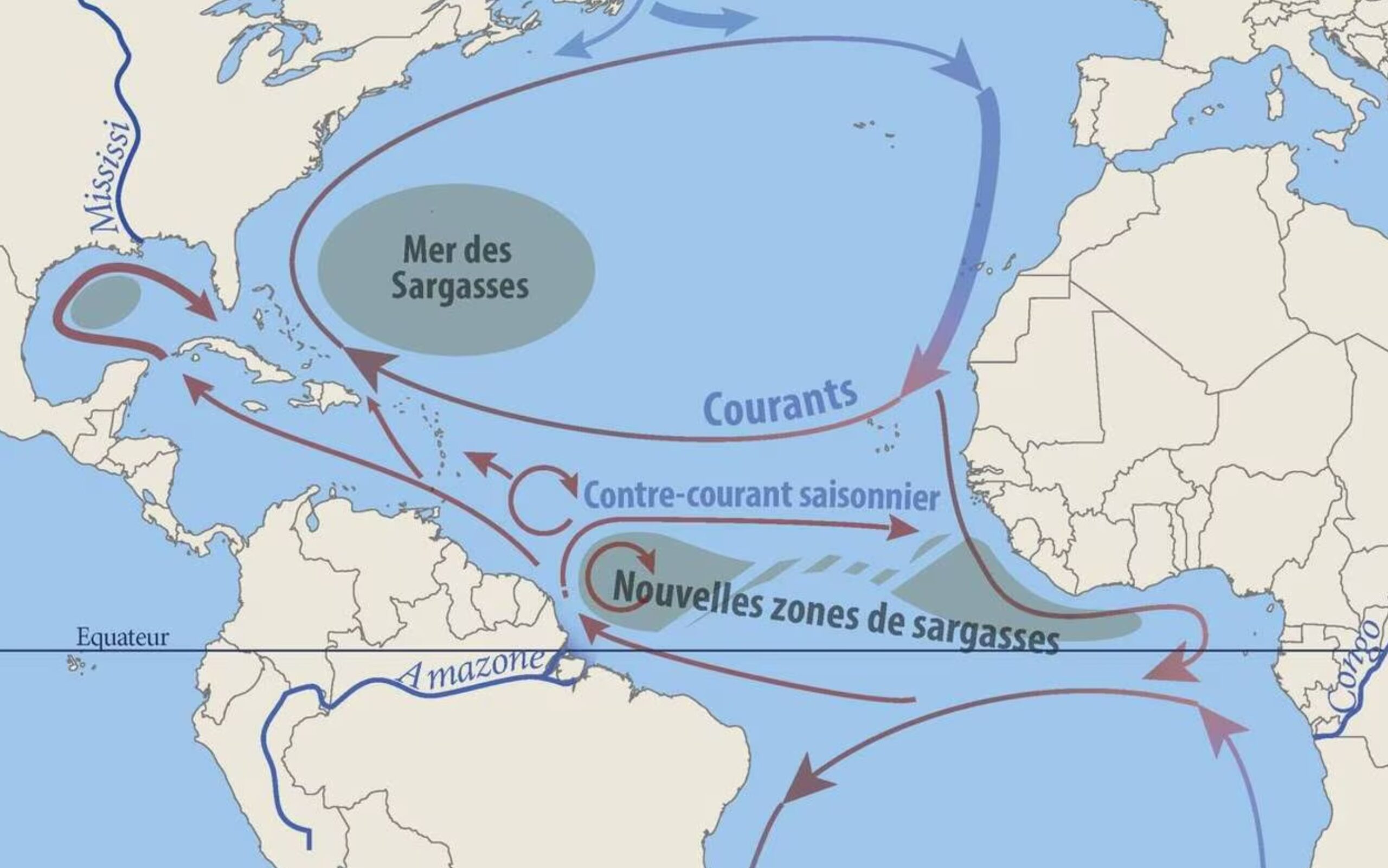 Mer des Sargasses