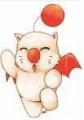 moggy