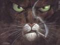Merivis