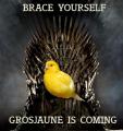 Grosjaune