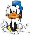 Donald87