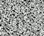 angryanonymous2