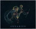 AquariusB