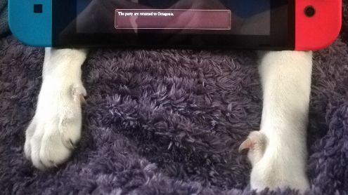 L'image du jour : Un setup qui vous surveille très attentivement
