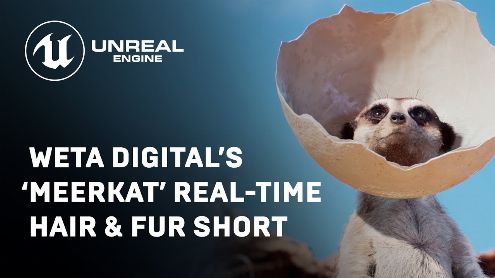 Unreal Engine : Meerkat Demo, la magnifique démo technique animalière disponible