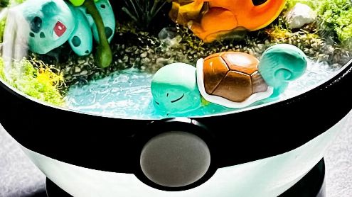 L'image du jour : Des Pokéballs "terrarium" de toute beauté