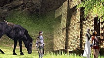 Ico et Shadow of the Colossus sur PS3 ?