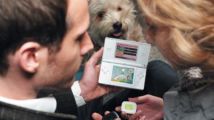 Nos chiens nous veulent du bien !
