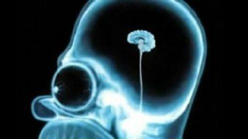 Les jeux vidéo font-ils de nous des idiots ?